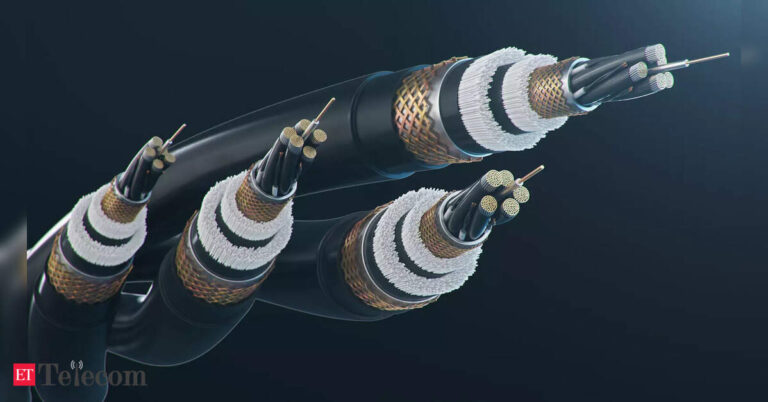 india-eu-explore-joint-effort-to-secure-undersea-cables-in-indian-ocean.jpg